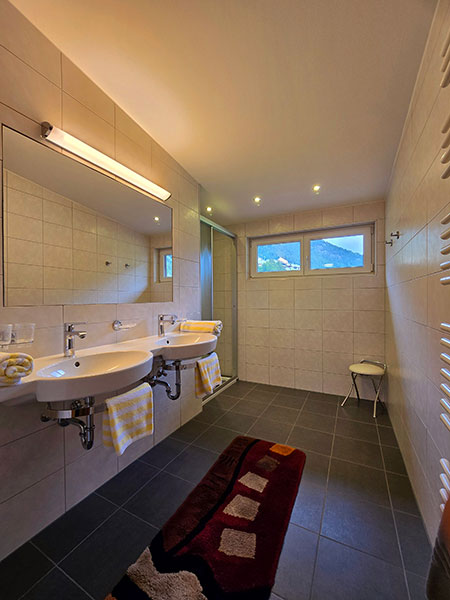 Spacious bathroom with double washbasin, shower, window, beautiful view, towel dryer and bathroom heating