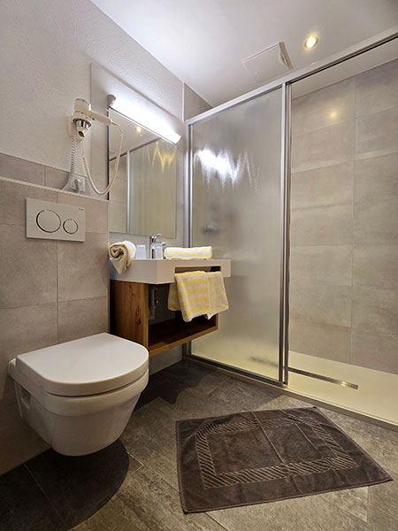 Toilet, washbasin and shower cubicle in an additional room in the large holiday flat