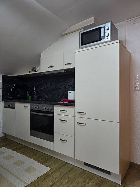 Kitchenette with cooker, dishwasher, microwave, toaster, coffee machine, oven, crockery and other equipment